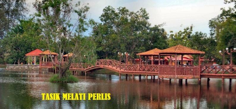 Syed Homestay Arau Bagian luar foto